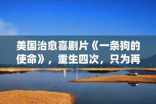 美国治愈喜剧片《一条狗的使命》，重生四次，只为再次遇见你！(必看美国喜剧)