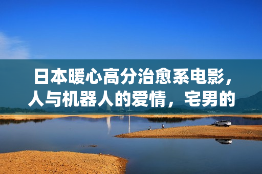 日本暖心高分治愈系电影，人与机器人的爱情，宅男的理想型女友(日本电影温馨治愈)