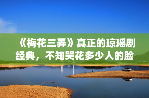 《梅花三弄》真正的琼瑶剧经典，不知哭花多少人的脸(梅花三弄mv)