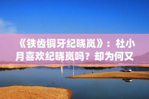 《铁齿铜牙纪晓岚》：杜小月喜欢纪晓岚吗？却为何又两次嫁人？(《铁齿铜牙纪晓岚》片头曲)
