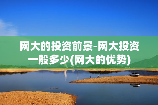网大的投资前景-网大投资一般多少(网大的优势)