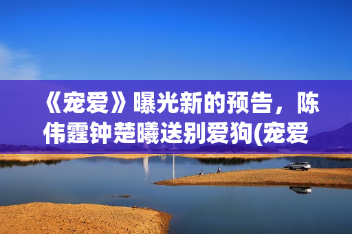 《宠爱》曝光新的预告，陈伟霆钟楚曦送别爱狗(宠爱ing)