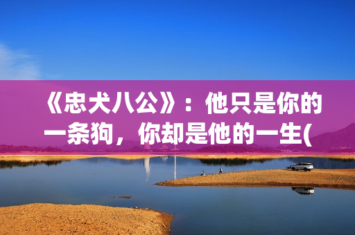 《忠犬八公》：他只是你的一条狗，你却是他的一生(忠犬八公导演是谁)