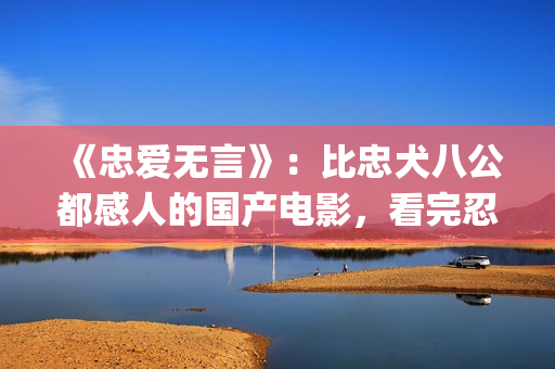 《忠爱无言》：比忠犬八公都感人的国产电影，看完忍不住的飙泪！(忠爱无言免费观看全集超清)