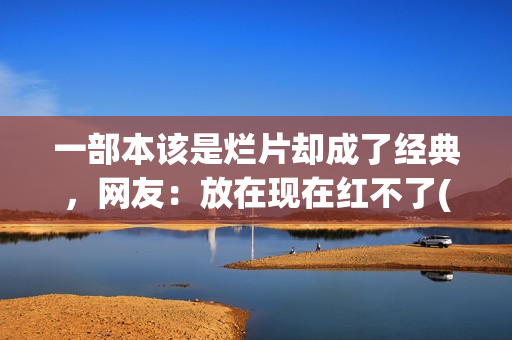 一部本该是烂片却成了经典，网友：放在现在红不了(一部本该是烂片的电视剧)