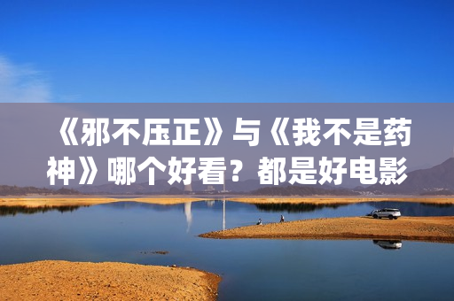 《邪不压正》与《我不是药神》哪个好看？都是好电影但后者劲头足(《邪不压正》与谁有关)