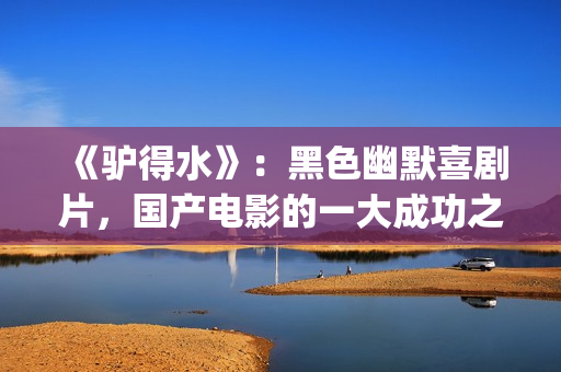 《驴得水》：黑色幽默喜剧片，国产电影的一大成功之作！(驴得水背后深层含义)