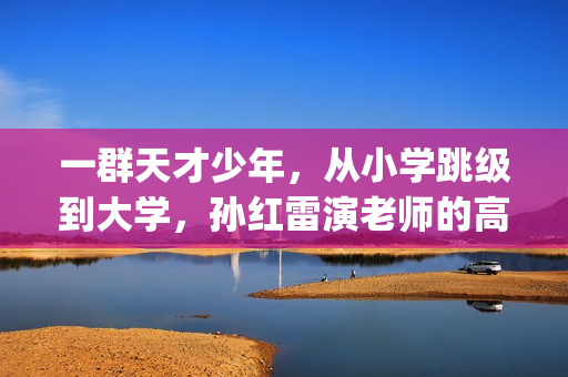 一群天才少年，从小学跳级到大学，孙红雷演老师的高分小众电影(一群天才少年的小说)