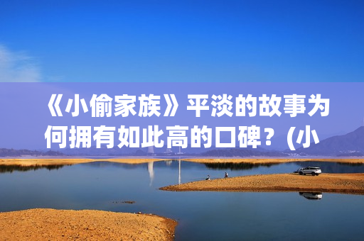 《小偷家族》平淡的故事为何拥有如此高的口碑？(小偷家族讲的是啥)