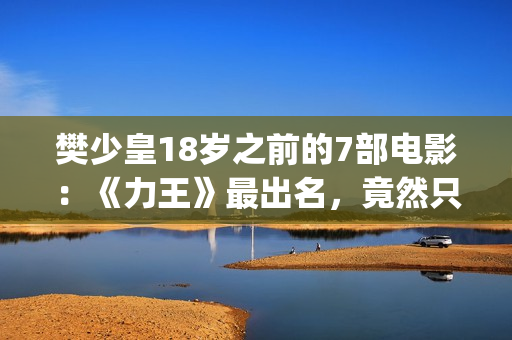 樊少皇18岁之前的7部电影：《力王》最出名，竟然只卖214万港币(樊少皇年龄多大)