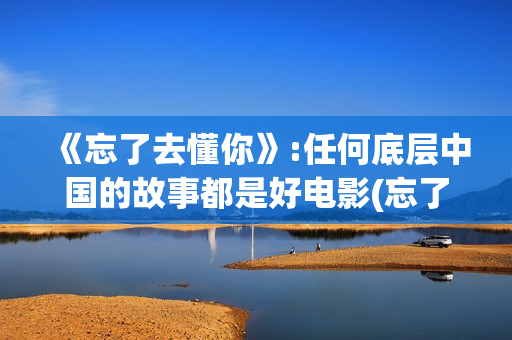《忘了去懂你》:任何底层中国的故事都是好电影(忘了去懂你剧情解析)