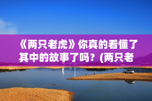 《两只老虎》你真的看懂了其中的故事了吗？(两只老虎-原声)