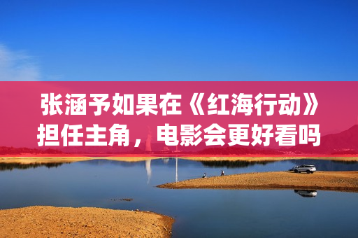 张涵予如果在《红海行动》担任主角，电影会更好看吗？(怎么评价张涵予)