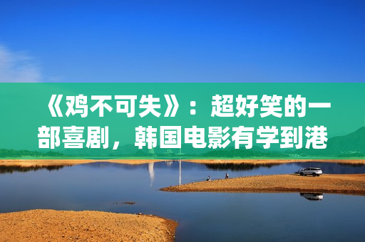 《鸡不可失》：超好笑的一部喜剧，韩国电影有学到港片精髓(《鸡不可失》大结局)
