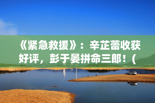 《紧急救援》：辛芷蕾收获好评，彭于晏拼命三郎！(紧急救援协助异常 宝马)