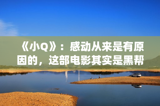 《小Q》：感动从来是有原因的，这部电影其实是黑帮片(电影小q里面的歌曲)