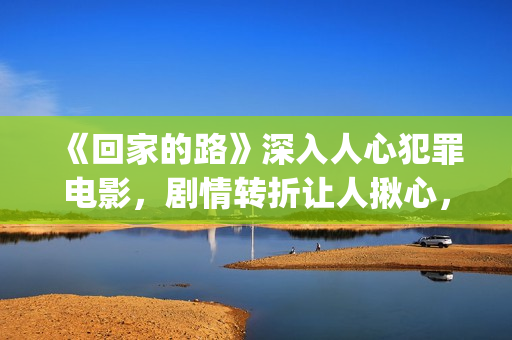 《回家的路》深入人心犯罪电影，剧情转折让人揪心，令人十分感动(回家的路解析)