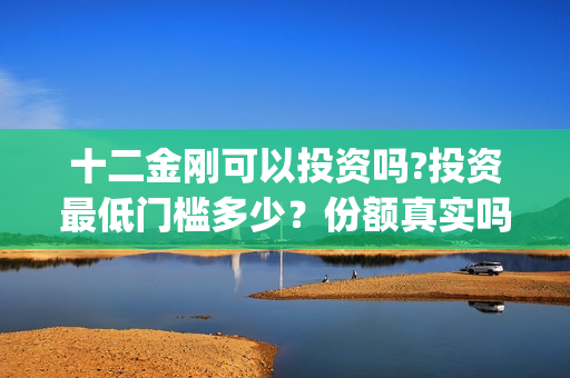 十二金刚可以投资吗?投资最低门槛多少？份额真实吗(十二金刚1)