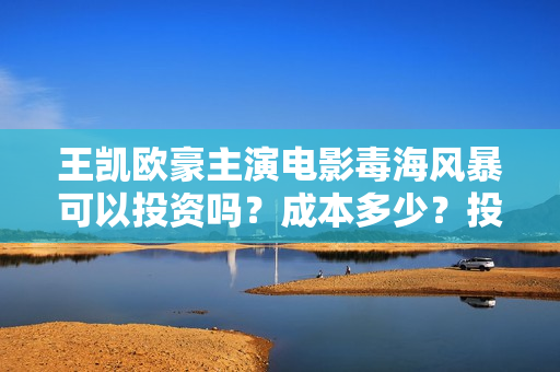 王凯欧豪主演电影毒海风暴可以投资吗？成本多少？投资靠谱吗？