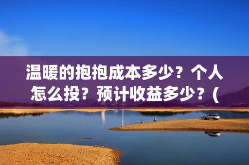温暖的抱抱成本多少？个人怎么投？预计收益多少？(温暖的抱抱 成本)