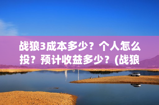 战狼3成本多少？个人怎么投？预计收益多少？(战狼3投资多少钱拍的)