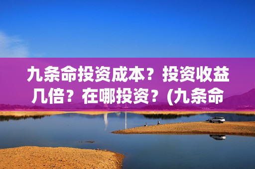 九条命投资成本？投资收益几倍？在哪投资？(九条命 出品方)