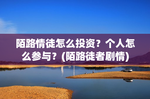 陌路情徒怎么投资？个人怎么参与？(陌路徒者剧情)