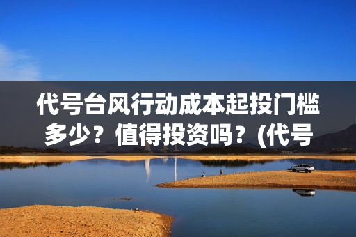 代号台风行动成本起投门槛多少？值得投资吗？(代号台风行动有谁主演)