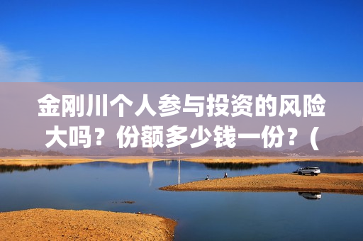 金刚川个人参与投资的风险大吗？份额多少钱一份？(金刚川专访)