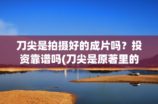 刀尖是拍摄好的成片吗？投资靠谱吗(刀尖是原著里的谁)