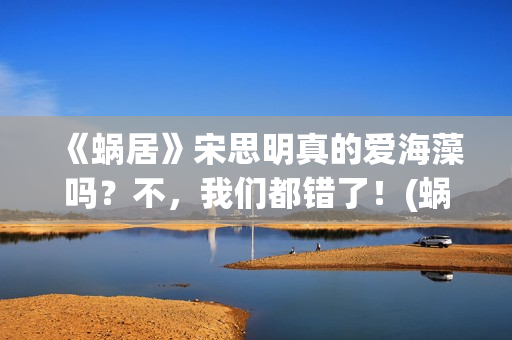《蜗居》宋思明真的爱海藻吗？不，我们都错了！(蜗居宋思明和海藻亲热是在哪一集)