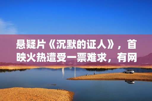 悬疑片《沉默的证人》，首映火热遭受一票难求，有网友质疑是炒作(沉默的门)