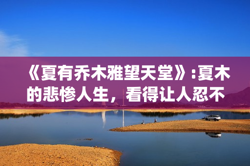 《夏有乔木雅望天堂》:夏木的悲惨人生，看得让人忍不住落泪(夏有乔木雅望天堂讲了什么)