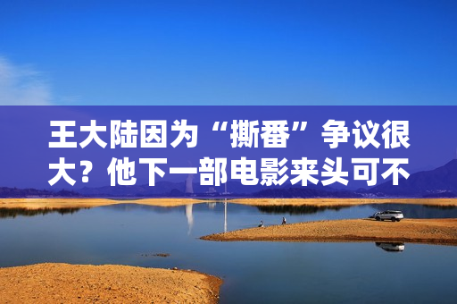 王大陆因为“撕番”争议很大？他下一部电影来头可不小