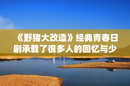 《野猪大改造》经典青春日剧承载了很多人的回忆与少女心(野猪大改造搞破坏的是谁)