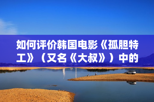 如何评价韩国电影《孤胆特工》（又名《大叔》）中的人物(韩国人评价中国电影)