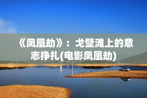 《凤凰劫》：戈壁滩上的意志挣扎(电影凤凰劫)