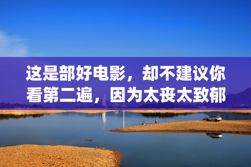 这是部好电影，却不建议你看第二遍，因为太丧太致郁(这是一部非常好的电影)