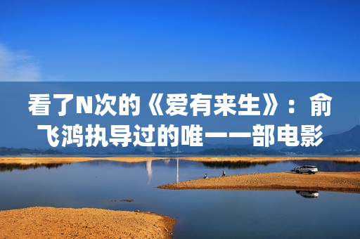 看了N次的《爱有来生》：俞飞鸿执导过的唯一一部电影(看了n次的《爱》的感悟)