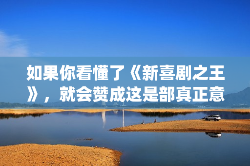 如果你看懂了《新喜剧之王》，就会赞成这是部真正意义上的好电影(如果你听懂了)