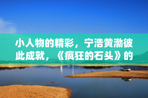小人物的精彩，宁浩黄渤彼此成就，《疯狂的石头》的成功不无道理(小人物的精彩人生)
