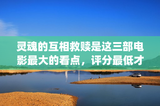 灵魂的互相救赎是这三部电影最大的看点，评分最低才8.9分(灵魂的救赎 双向的爱慕)