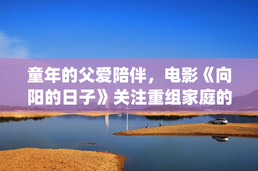 童年的父爱陪伴，电影《向阳的日子》关注重组家庭的亲子教育(童年的父爱陪伴图片)