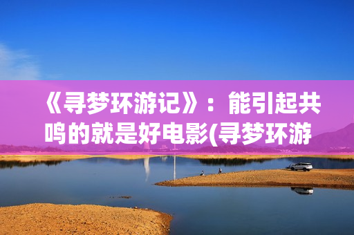 《寻梦环游记》：能引起共鸣的就是好电影(寻梦环游记在线观看)