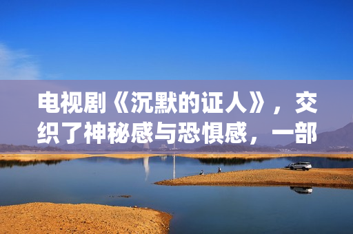 电视剧《沉默的证人》，交织了神秘感与恐惧感，一部经典的刑侦剧(电视剧《沉默的证人》)