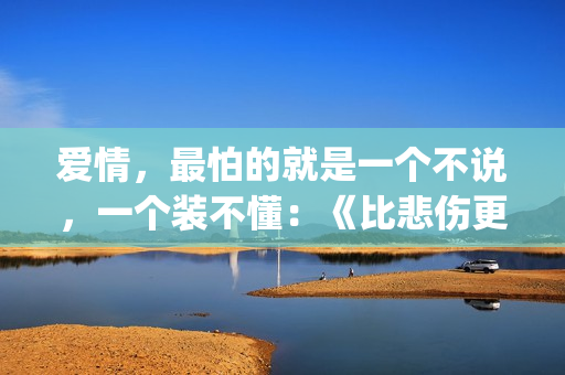 爱情，最怕的就是一个不说，一个装不懂：《比悲伤更悲伤的故事》(感情中最怕的就是)