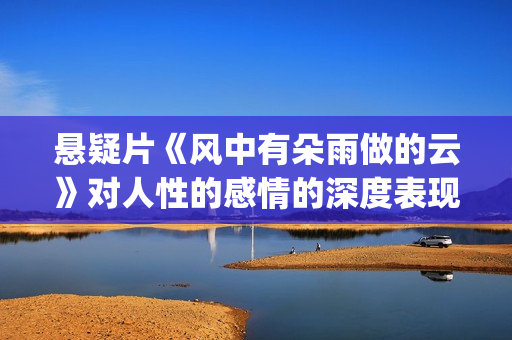悬疑片《风中有朵雨做的云》对人性的感情的深度表现很到位(风中有风)