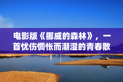 电影版《挪威的森林》，一首忧伤惆怅而潮湿的青春散文诗(挪威剧情电影)