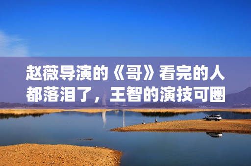 赵薇导演的《哥》看完的人都落泪了，王智的演技可圈可点！(赵薇导演的《哥哥》视频)
