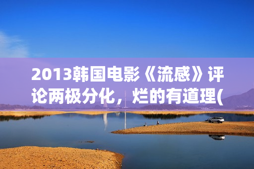 2013韩国电影《流感》评论两极分化，烂的有道理(韩国电影2011年)